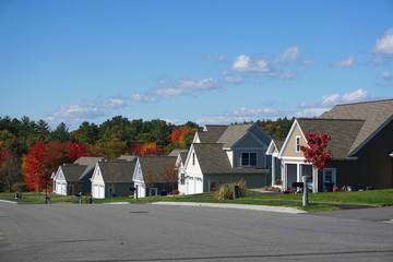 houses in modern residential community with autumn colorful trees