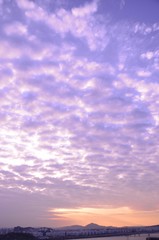 Obraz premium 하늘공원