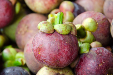 Mangoteen with nature background.