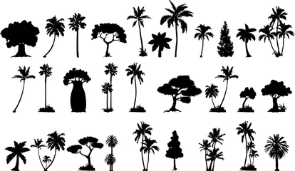 Crédence de cuisine en verre imprimé Palmier collection de silhouettes de palmiers