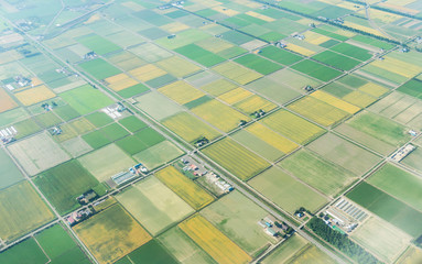 Aerial view from airplane of agriculture field in summer at chitose hokkaido japan