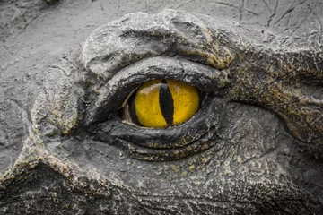 Papier Peint photo Lavable Crocodile Yellow eyes of crocodiles.