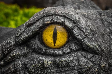 Papier peint photo intissé Yellow eyes of crocodiles.