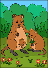 Obraz na płótnie Canvas Cartoon animals. Mother quokka with her cute babies.