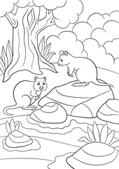 Fototapeta na wymiar Coloring pages. Two little cute quokkas in the forest.