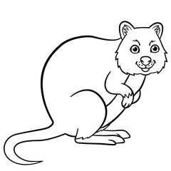 Coloring pages. Little cute quokka smiles.
