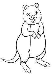 Coloring pages. Little cute quokka smiles.