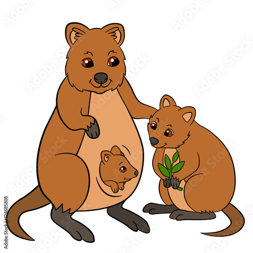 Cartoon Animals Mother Quokka With Her Cute Babies Stock Image