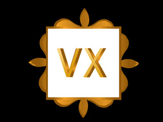 VX Initial Logo for your startup venture