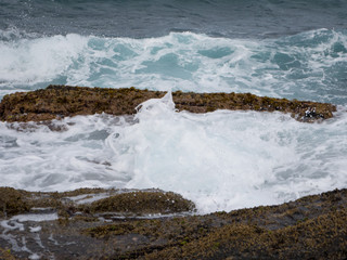 Waves Splashes on the rocks