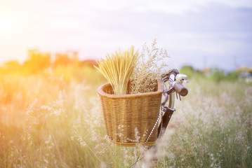 Bicycle with basket and guitar of flowers in meadow, select and soft focus