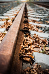 Detail of an old railway track with autumn leafs