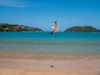 Fototapeta na wymiar Ferradura beach in Buzios, Brazil
