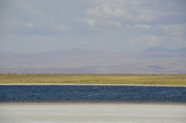 SALAR ATACAMA