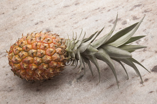 
pineapple