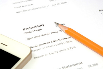 profitability as a part of financial report