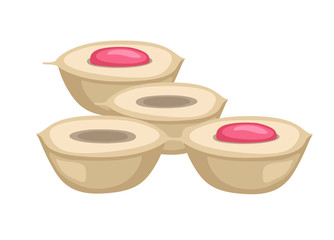 Peach Fruit Pieces Vector