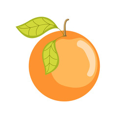 Ripe Orange Fruit Vector