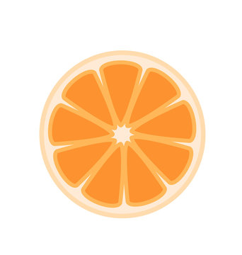 Half Orange Vector