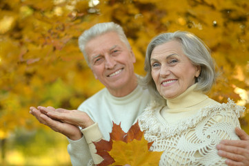 Senior couple in autumn park