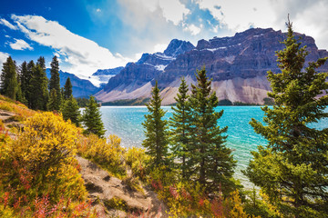 The lake is surrounded by coniferous forests