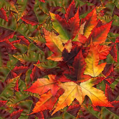 seamless background pattern texture made of maple leaves
