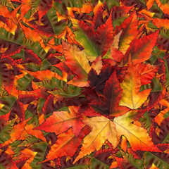 seamless background pattern texture made of maple leaves