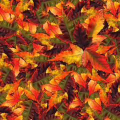 seamless background pattern texture made of maple leaves