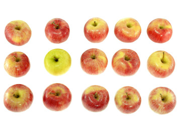 one ripe yellow apple with red apples