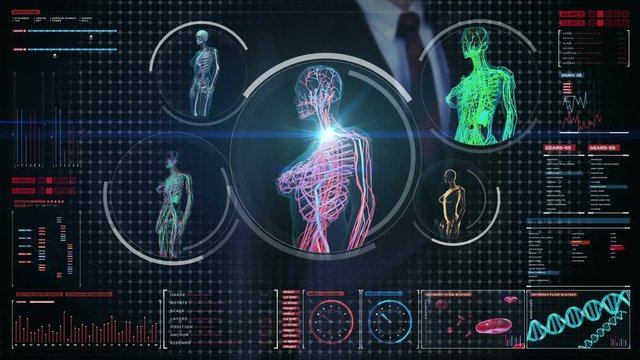 Businessman touching digital screen, Female body scanning blood vessel, lymphatic,  circulatory system in digital display dashboard. Blue X-ray view. 