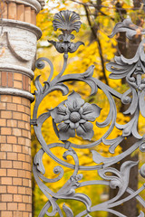 Floral ornament of fence of the Mikhailovsky Park on a background of autumn leaves, St. Petersburg, Russia
