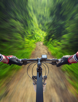 Fast ride in summer forest. Sport and active life concept..