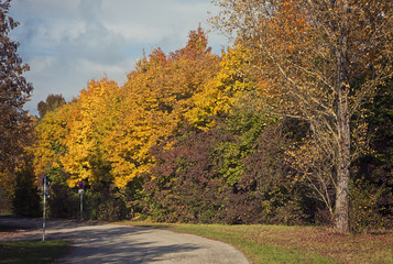 Bavaria autumnal colors, rural road