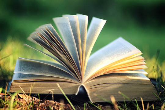 open book with flower on grass