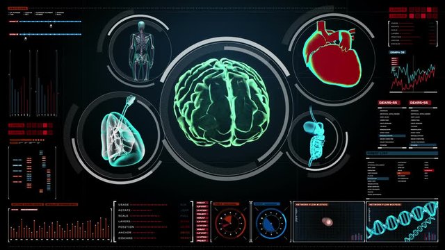 Scanning brain, heart, lungs, internal organs in digital display dashboard. X-ray view.
