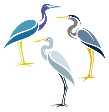Stylized Birds - Herons