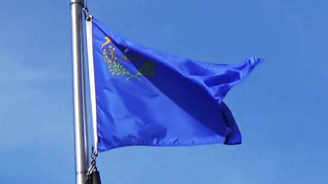 State flag of Nevada.