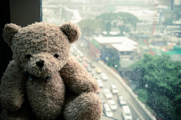 teddy bears sitting at the window with drop of water