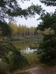 Fototapeta na wymiar Autumn forest on the lake