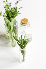 mint, sage, rosemary, thyme in glass bottles white background