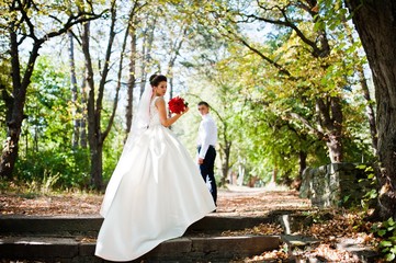 Gorgeous wedding couple at autumn park in love