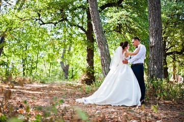 Obraz na płótnie Canvas Gorgeous wedding couple at autumn park in love