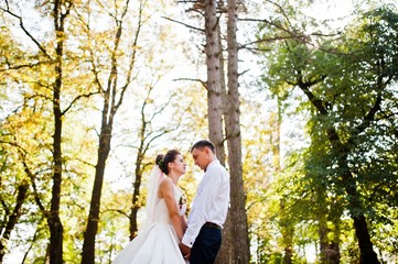 Fototapeta premium Gorgeous wedding couple at autumn park in love