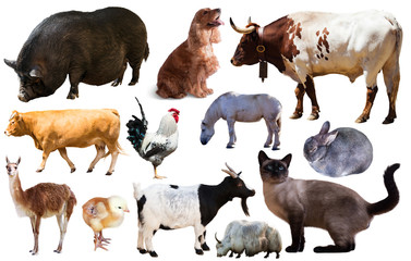 set of farm animals