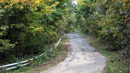 Forest Road