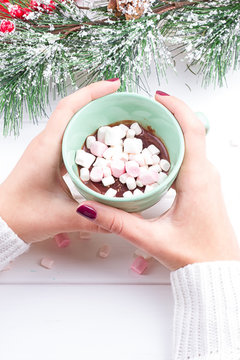 female hand holding cup of hot cocoa or chocolate with marshmallow