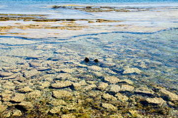 Underwater texture of a coloful rocky seafloor with stone pieces