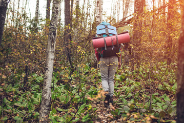 girl with a backpack going up in the mountain forest