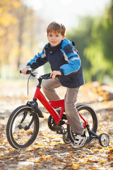 Happy boy with bicycle in the autumn park