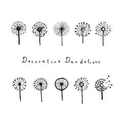 Set of abstract graphic doodle dandelions. Decorative Elements for design, dandelions